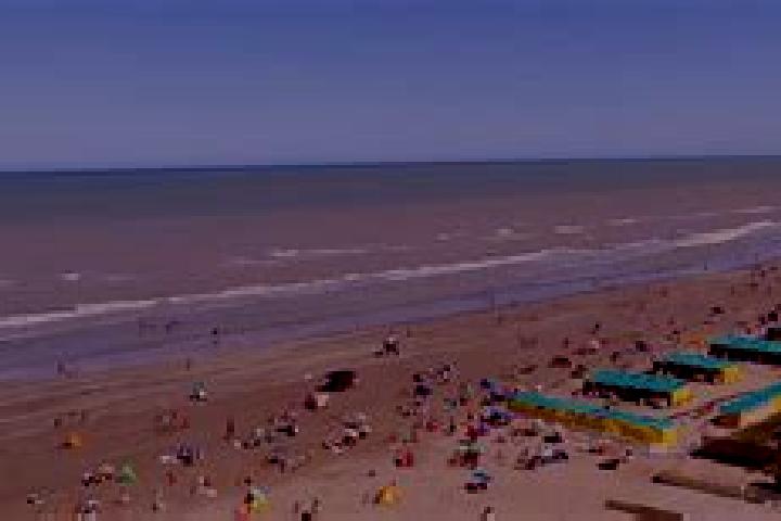 Goverment Disco slot machine