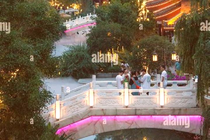 Many Beauties slot