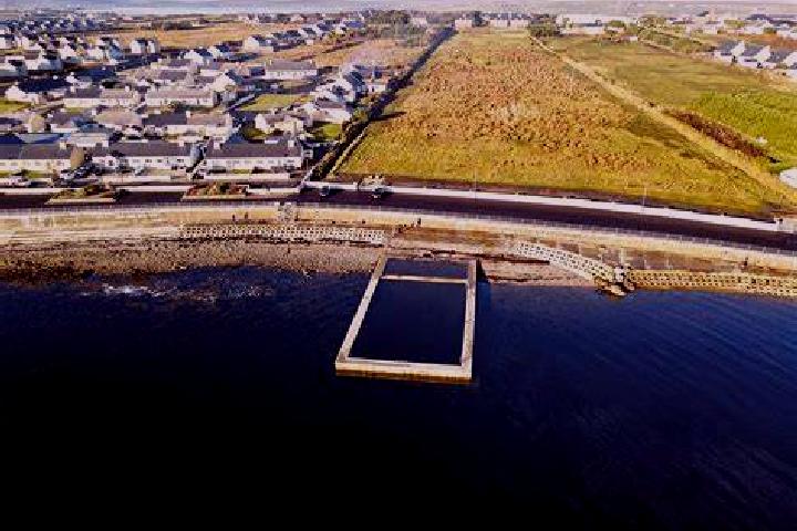 Wild Fortune Horse slot